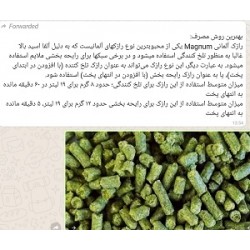 رازک مگنوم