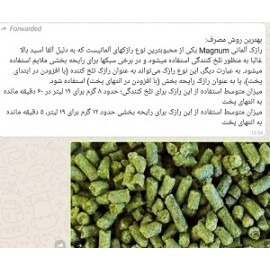 رازک مگنوم