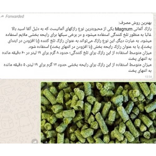 رازک مگنوم